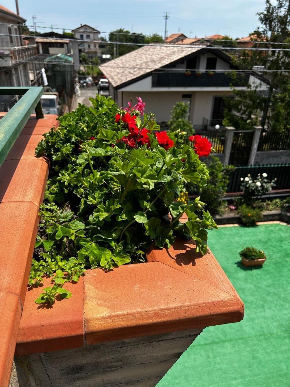 Grotta Del Monaco Panzió Pedara Kültér fotó